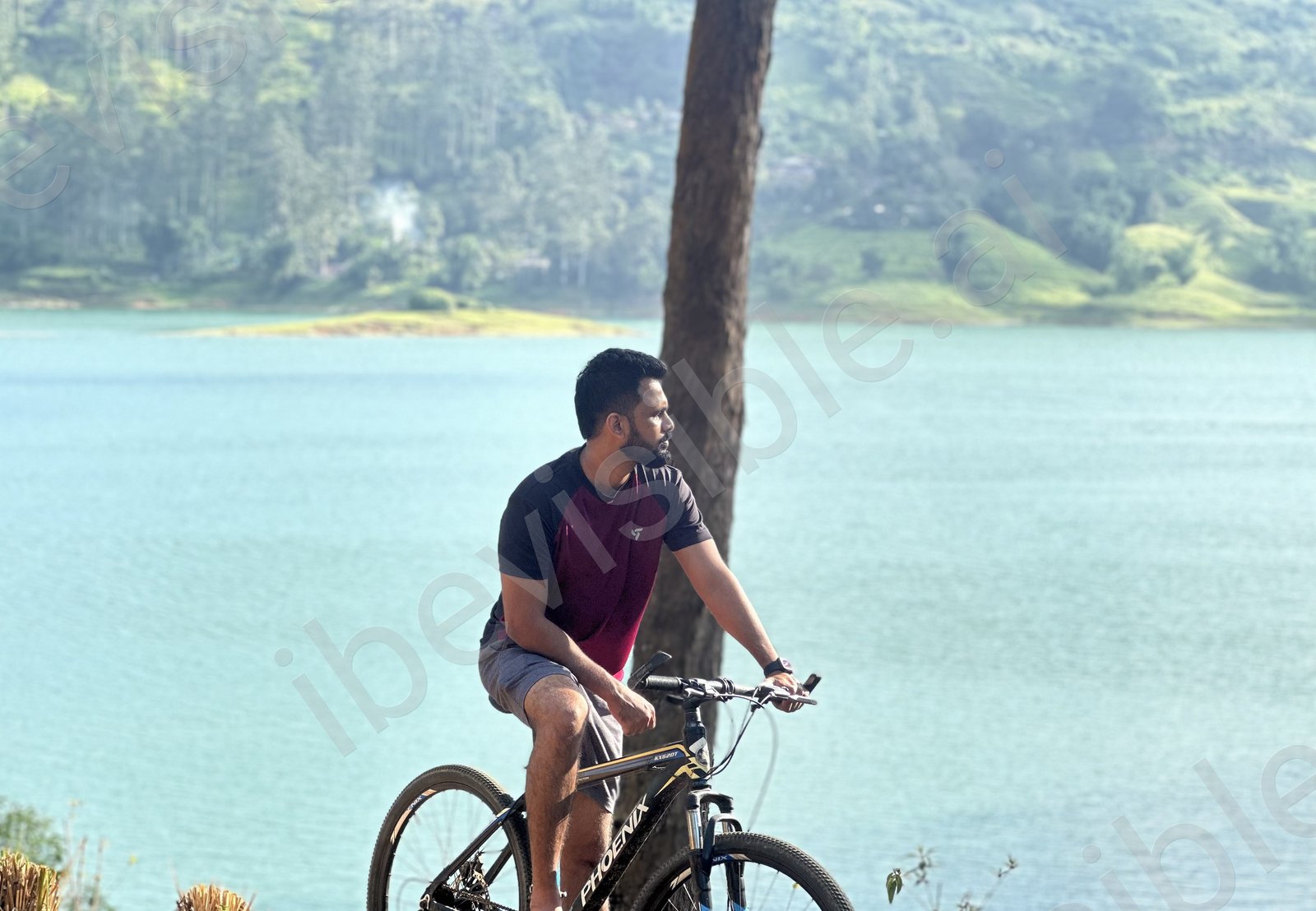 Cycling for a Healthier Mind: A Simple Solution to Everyday Stress